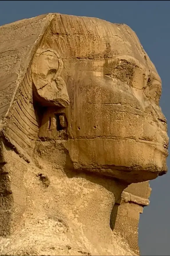 Каир изнутри